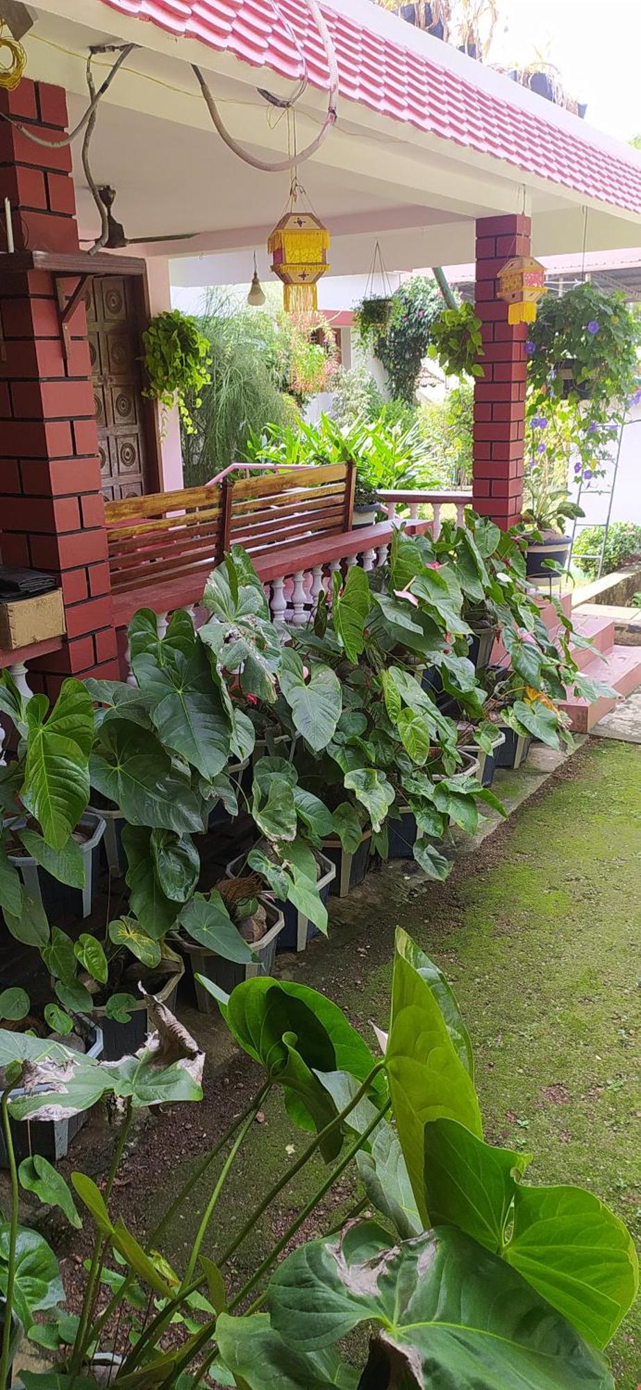 Runnin Airport - Homestay Gurpur Exterior foto